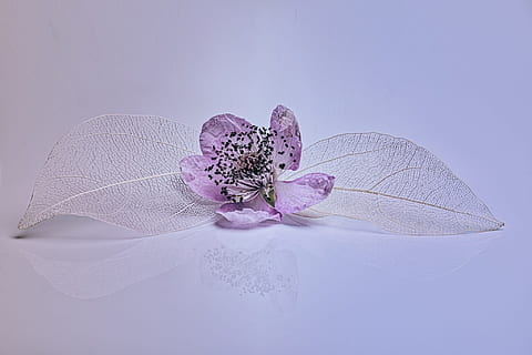 冬天给人当伴娘穿什么 冬天当伴娘穿什么衣服好啊?