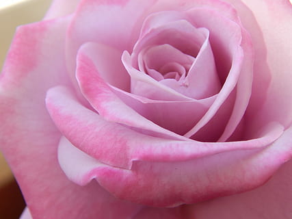 什么礼品比较实用 什么礼物最实用