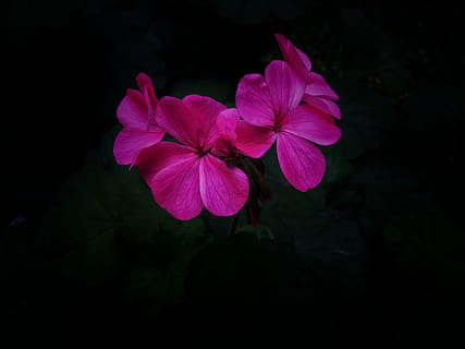 夏天结婚男的穿什么 夏天结婚男的穿什么？