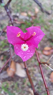 办婚庆公司要什么要求 想开婚庆公司.该具备哪些条件?