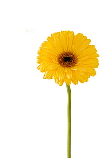 学婚礼策划大概多少钱 婚礼策划一般多少钱