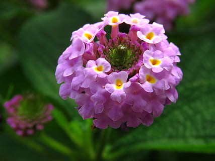 订酒席要注意什么 预订婚宴,都需要注意事项啊?