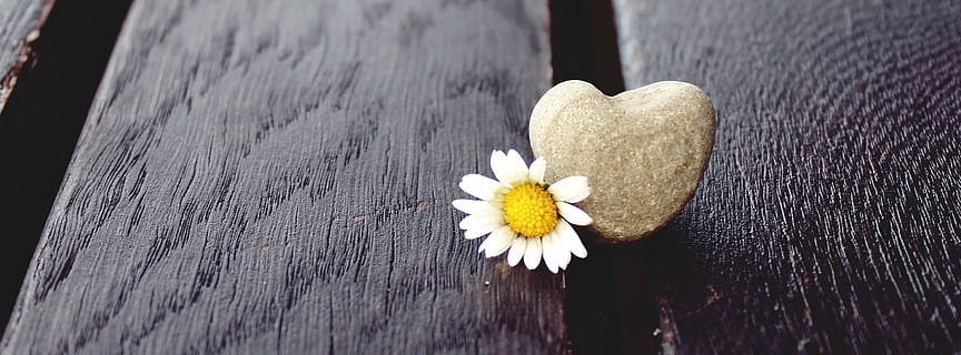 婚礼用什么白酒 结婚适合用什么白酒?