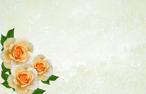 参加同学婚礼穿什么好 参加同学婚礼穿什么衣服比较合适?