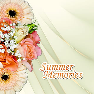 为什么结婚要披肩的