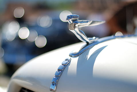 结婚登记穿什么好 领结婚证要穿什么衣服去有要求吗