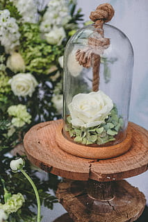 婚庆公司都为新人准备什么 婚庆公司都应该为新人准备什么东西