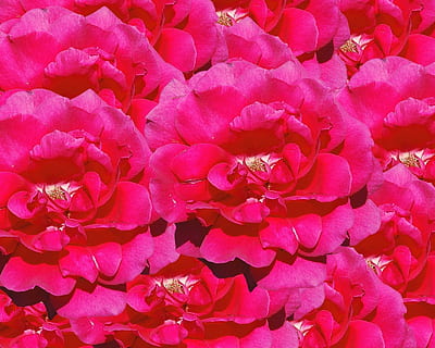 中式婚礼有伴娘穿什么