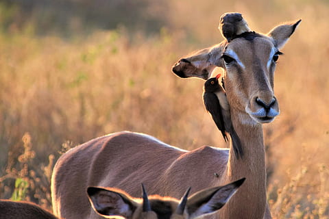 婚礼请柬日期怎么写 请柬日期怎么写？