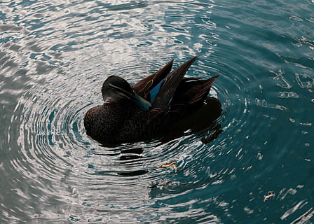 明星教你怎么拍婚纱照 明星婚纱照大曝光，教你怎么拍婚纱照