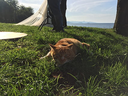 婚礼红包贺词写什么 婚礼红包怎么写贺词?