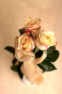 定亲女方准备什么 定亲女方家需要准备什么