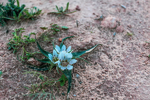 举办一个婚礼多少钱 办个婚礼婚庆要多少钱?