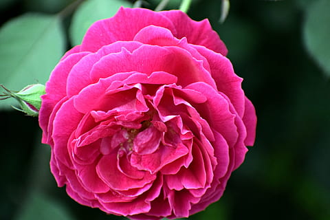 婚宴上怎么可以推辞别人的敬酒 在酒席上如何回绝别人的敬酒?