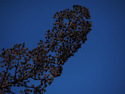 新娘本人怎么写请柬 我本人结婚请帖怎么写