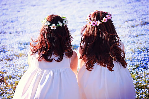 求婚放什么音乐 最适合男生求婚的歌曲有哪些