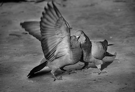 感恩情人陪伴的句子文案