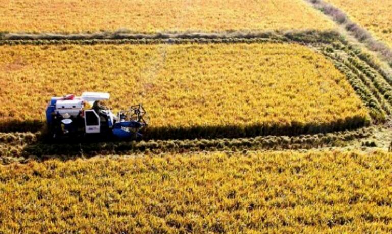 四五月收获的诗