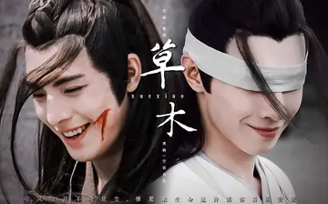 写薛洋晓星尘的诗