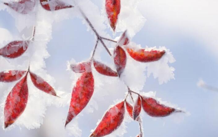 描写冬天美景的古诗