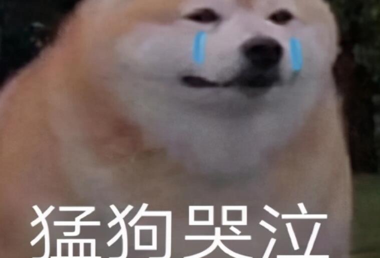 适合发空间的沙雕句子文案及图片