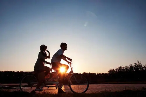 形容思念家乡心情短语