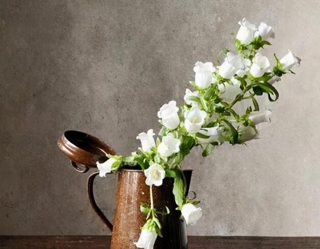 唯美句子文案清新意境