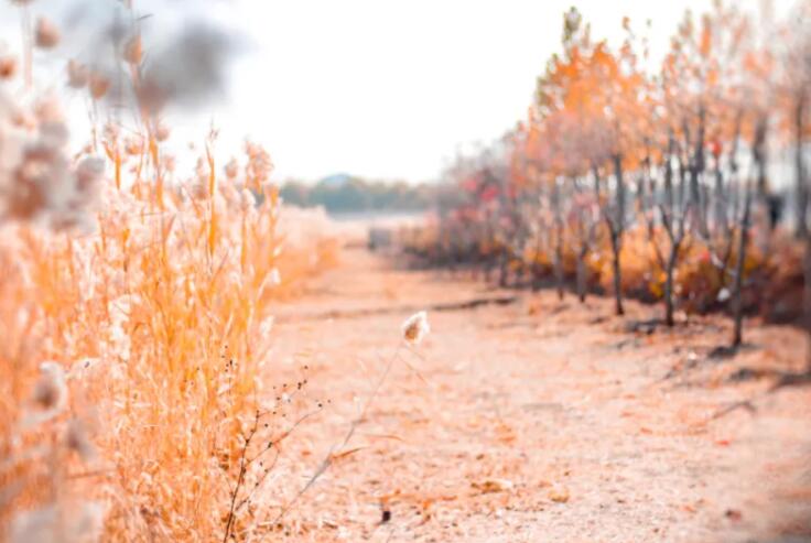 形容美好的诗句文案