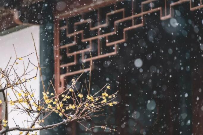 形容冬天的诗句文案