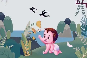 宣布孩子出生经典语句文案