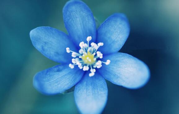 还有什么描写颜色的短语