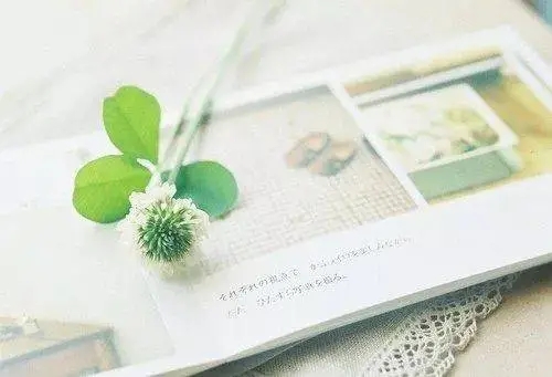 因为一句话就心情不好