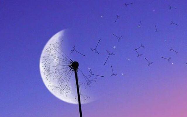 狼性励志句子文案