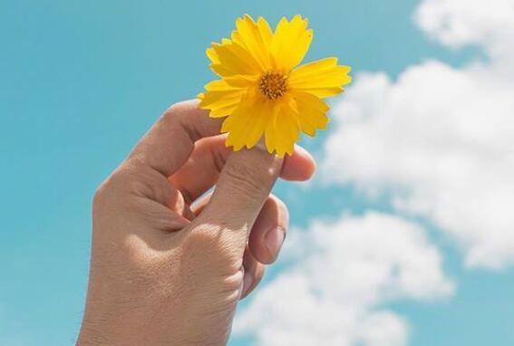 晚安的唯美句子文案