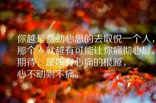 被抛弃的伤心语句文案