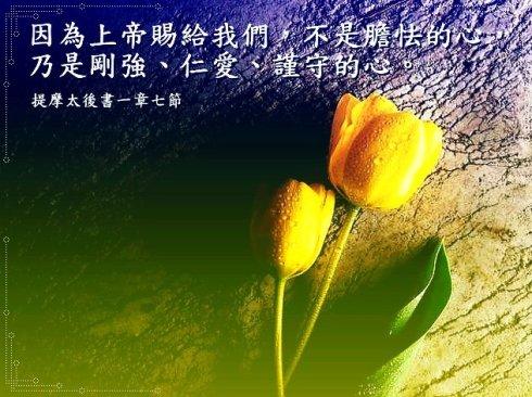 圣经给人力量的话语