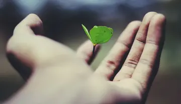 责任的句子文案经典语录