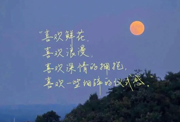 关于放弃暗恋的句子文案