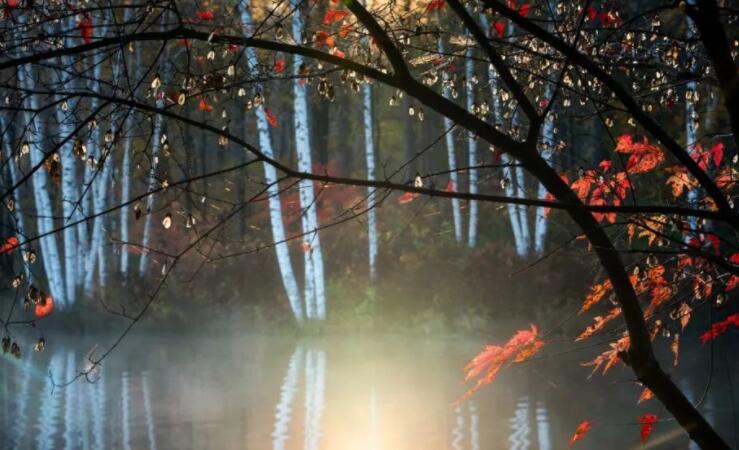 关于入秋的唯美诗句文案