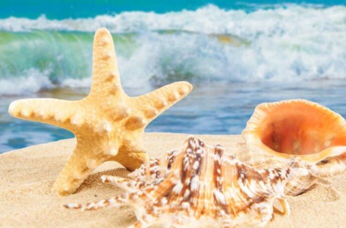 夏天的暖心话语