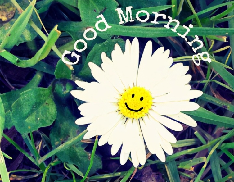 努力的早安心语的句子文案