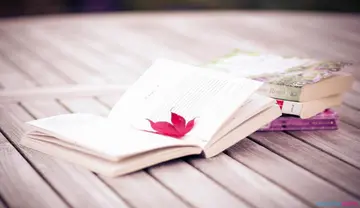 我想送给老师什么补充句子文案