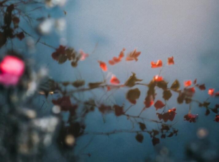 对公司的感恩感言30字