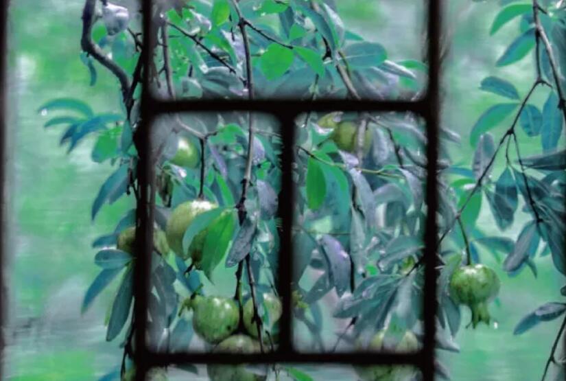 带有颜色的优美句子文案