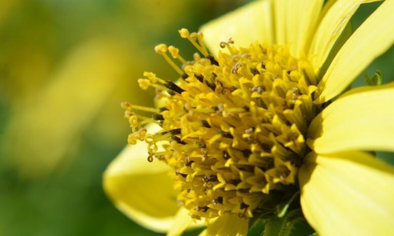 形容抖音拍得好的句子文案