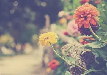 八个字夸人优秀的话