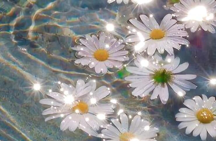 给闺蜜的超甜情话文案