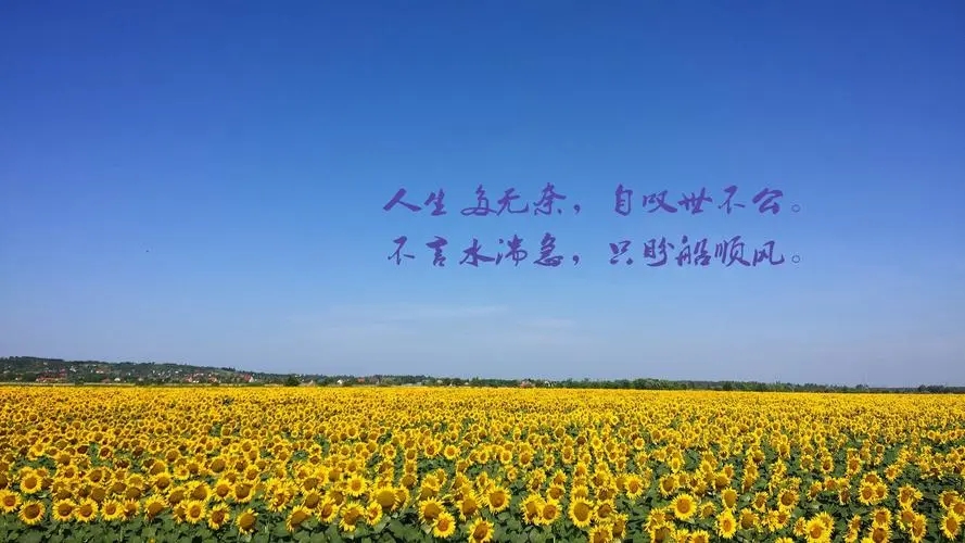 阳光暖心的早安问候语