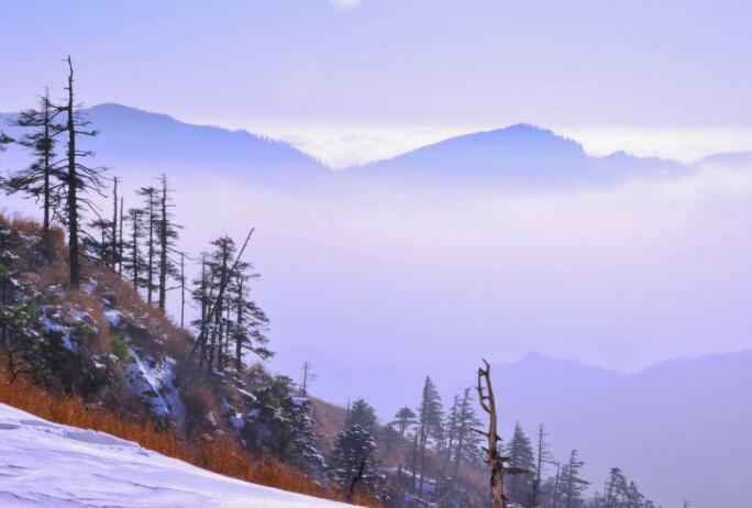 你是否听说过开头写一段话200字