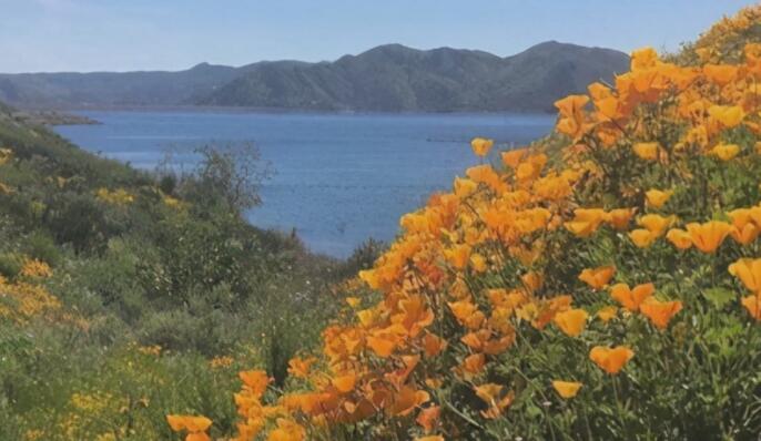 夏天唯美意境句子文案